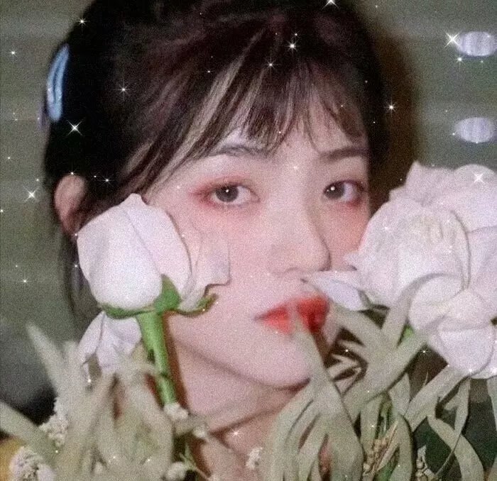 朽木 第二季