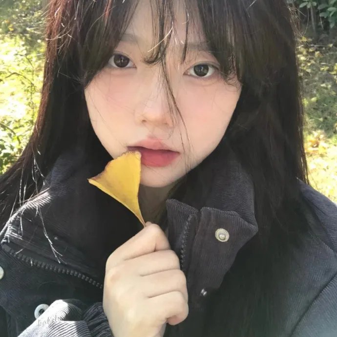 笨蛋爱上两个你